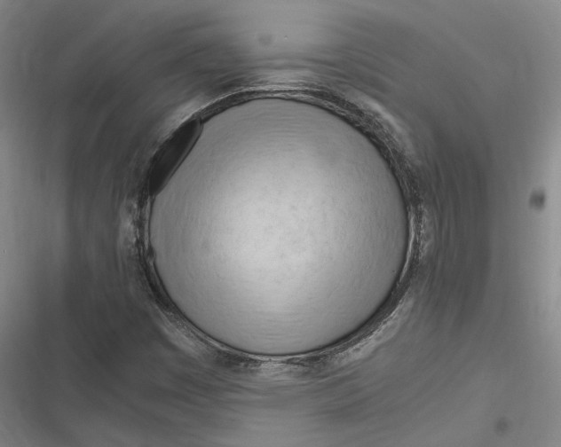 X0000116681449201001111322