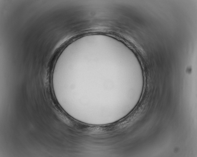 X0000116681450201001111322