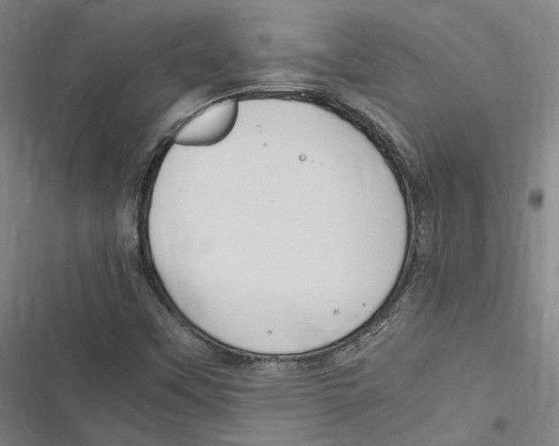 X0000116681451201001111322