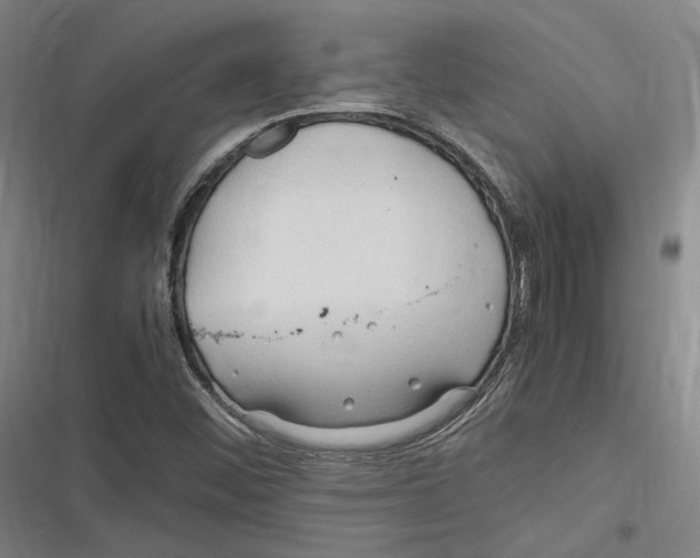 X0000116681452201001111322