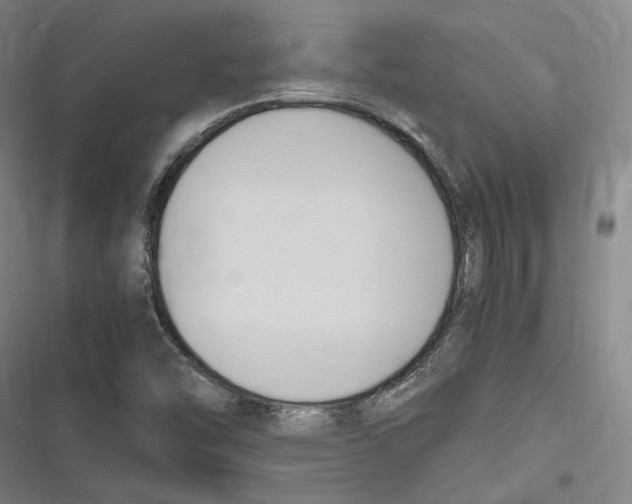 X0000116681454201001111322