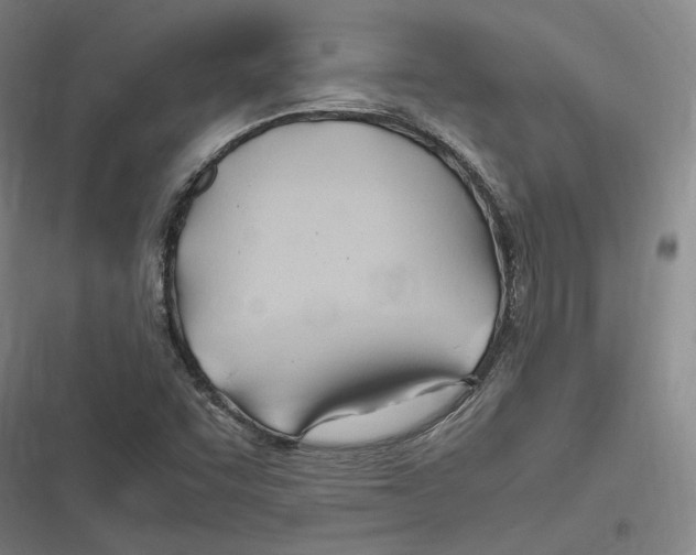 X0000116681455201001111322