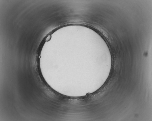 X0000116681458201001111322