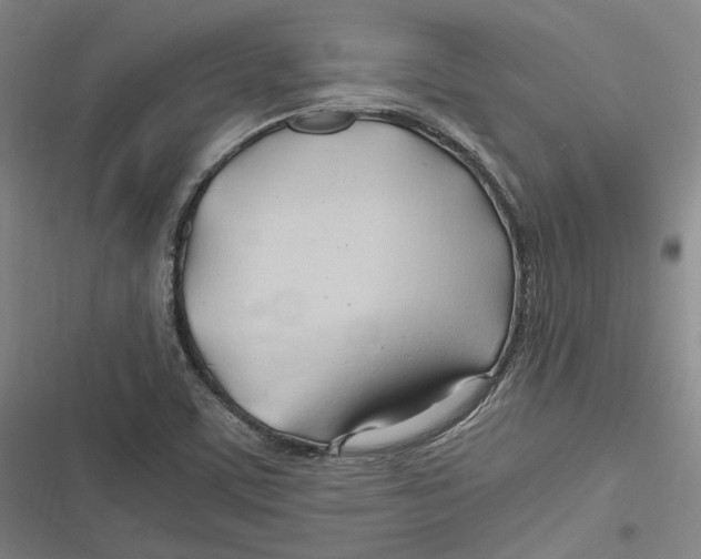 X0000116681459201001111322