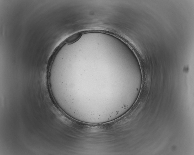 X0000116681460201001111322