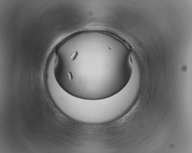 X0000116681461201001111322