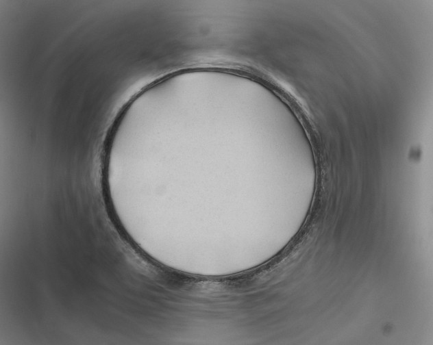 X0000116681463201001111321