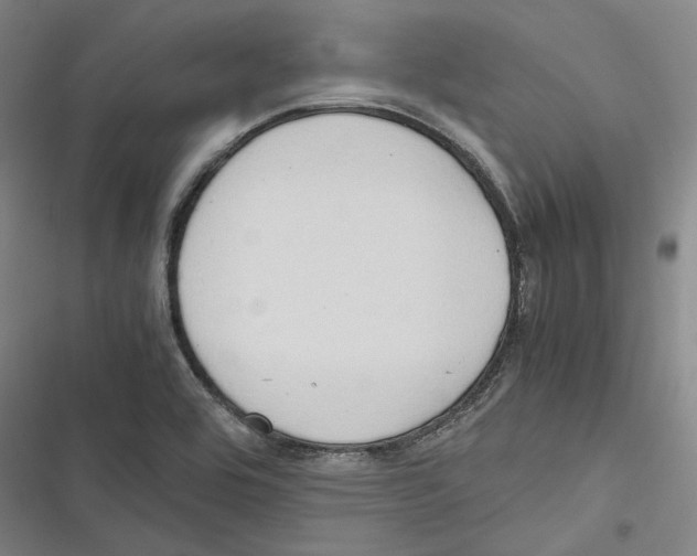 X0000116681464201001111321