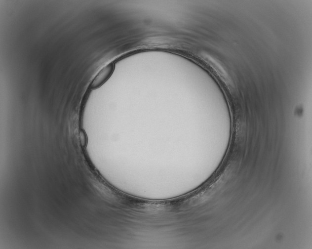 X0000116681465201001111321