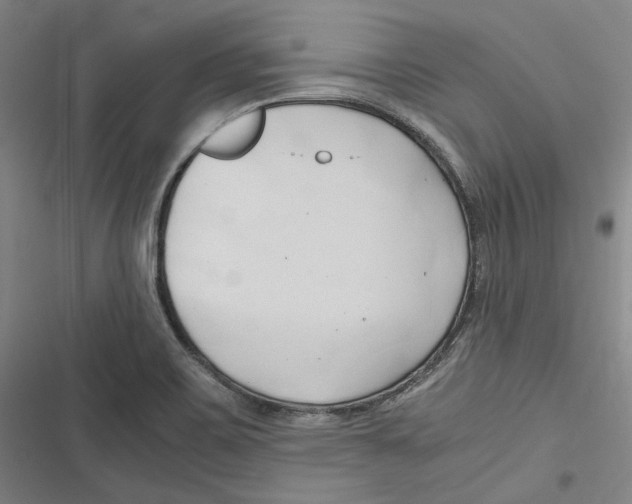 X0000116681467201001111321