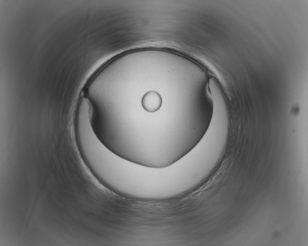 X0000116681468201001111321
