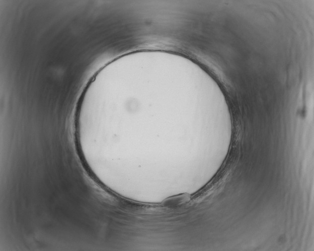 X0000116681471201001111321