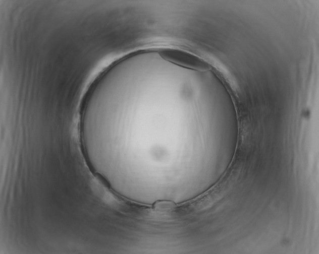 X0000116681472201001111321