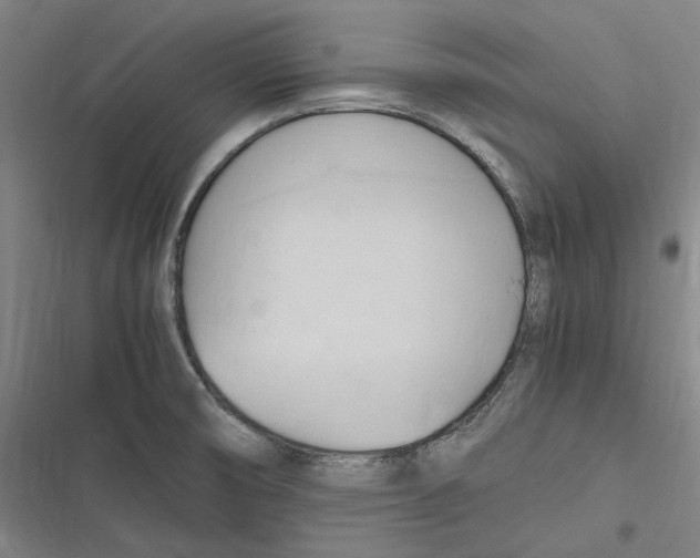 X0000116681474201001111321