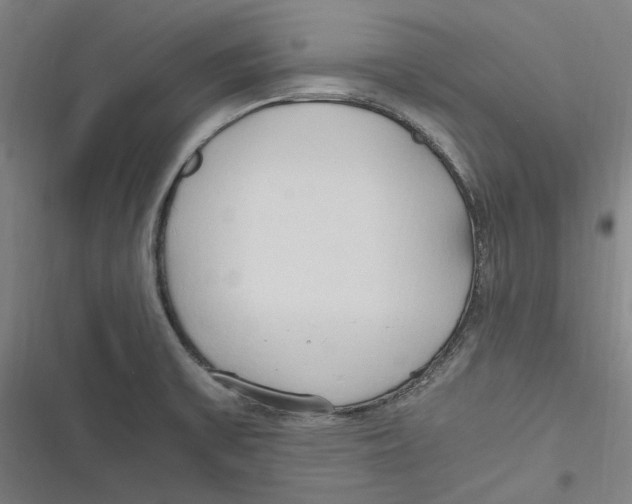 X0000116681475201001111321