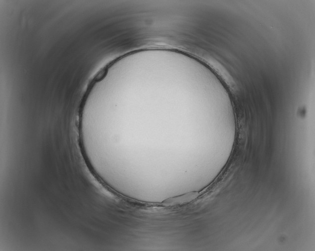 X0000116681476201001111321
