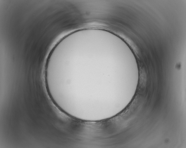 X0000116681478201001111321