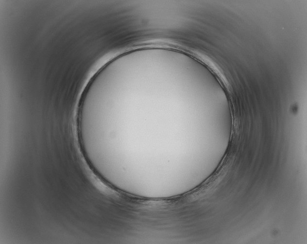 X0000116681482201001111321