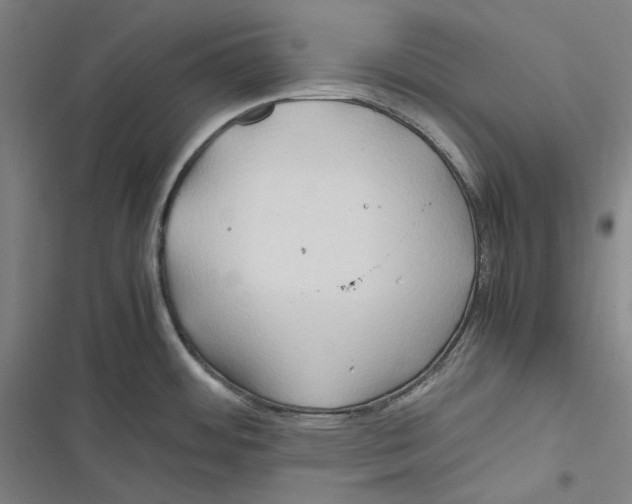 X0000116681484201001111321