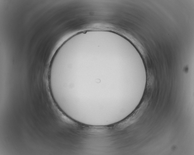 X0000116681486201001111321
