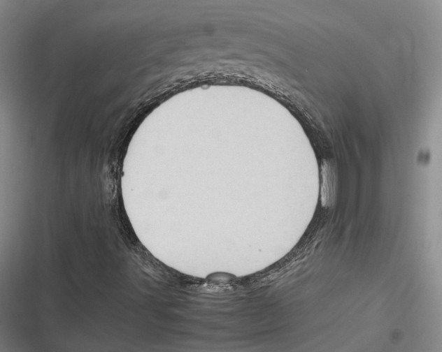 X0000116681491201001111321
