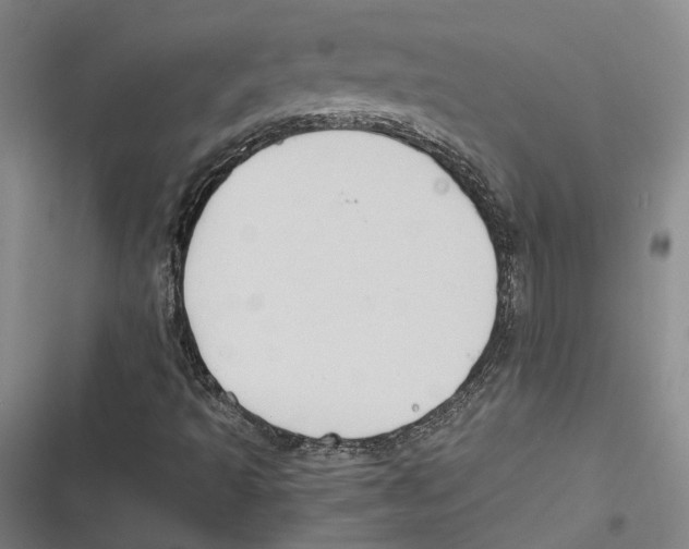 X0000116681493201001111321