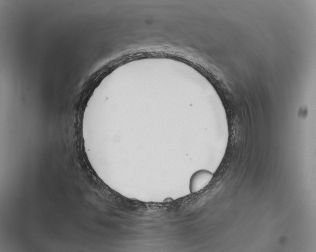 X0000116681494201001111321