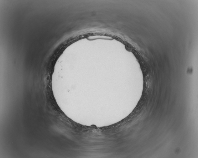 X0000116681495201001111321