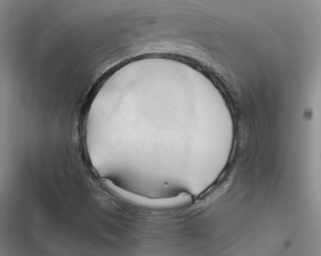 X0000116681497201001111321