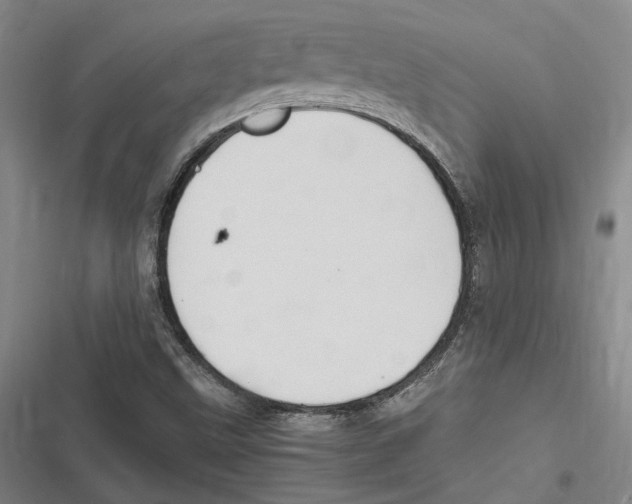 X0000116681499201001111321