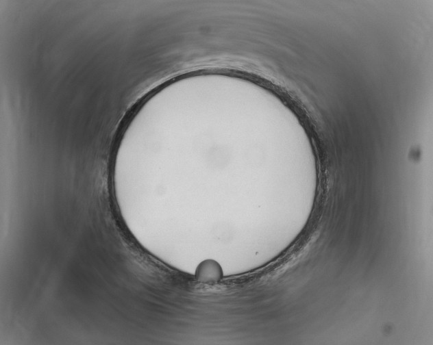 X0000116681505201001111321