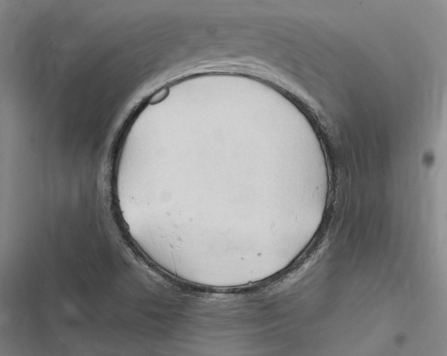 X0000116681506201001111321