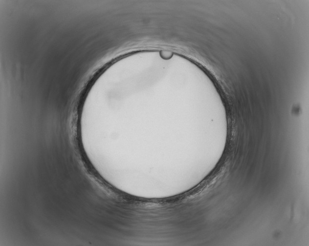 X0000116681507201001111321