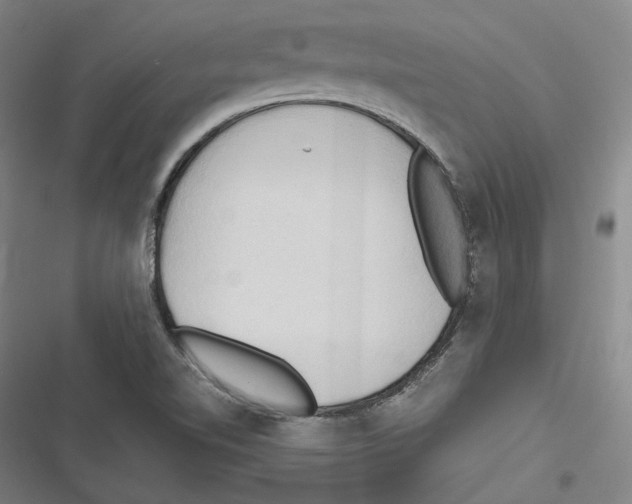 X0000116681510201001111321