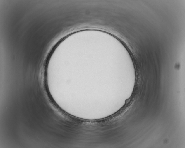 X0000116681511201001111321