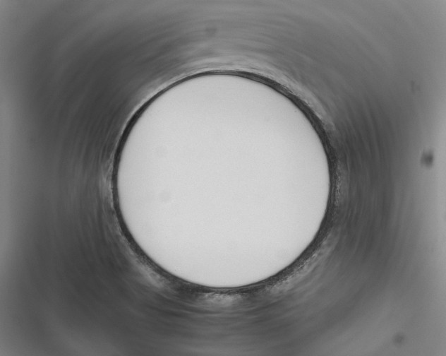 X0000116681513201001111321