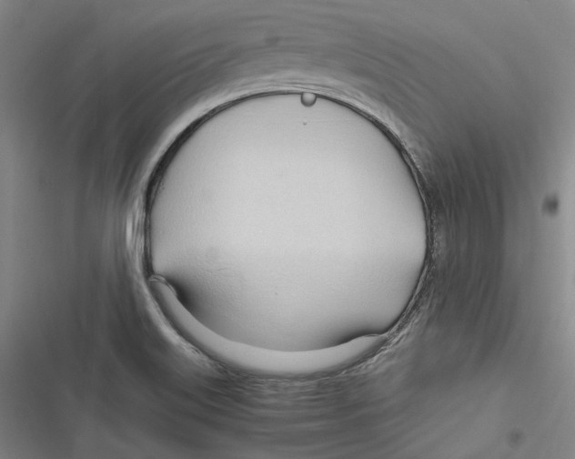 X0000116681515201001111321