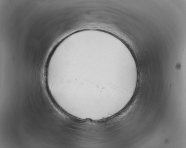 X0000116681517201001111321