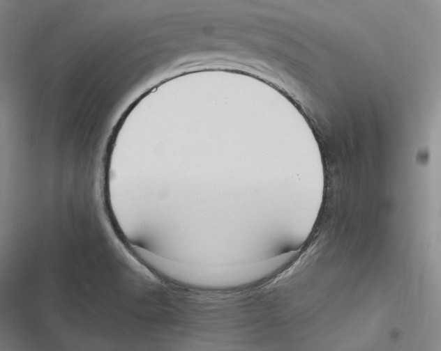 X0000116681518201001111321