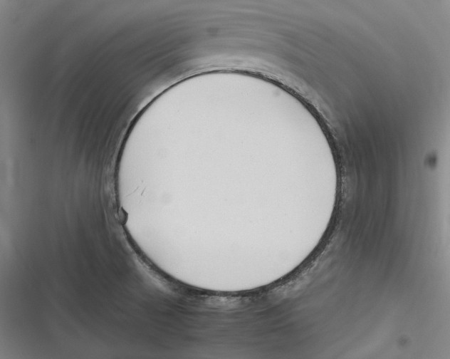 X0000116681521201001111321