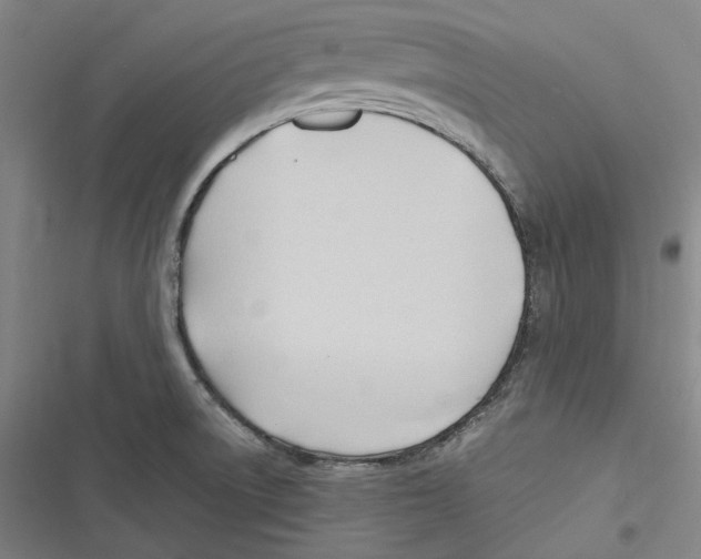 X0000116681522201001111321