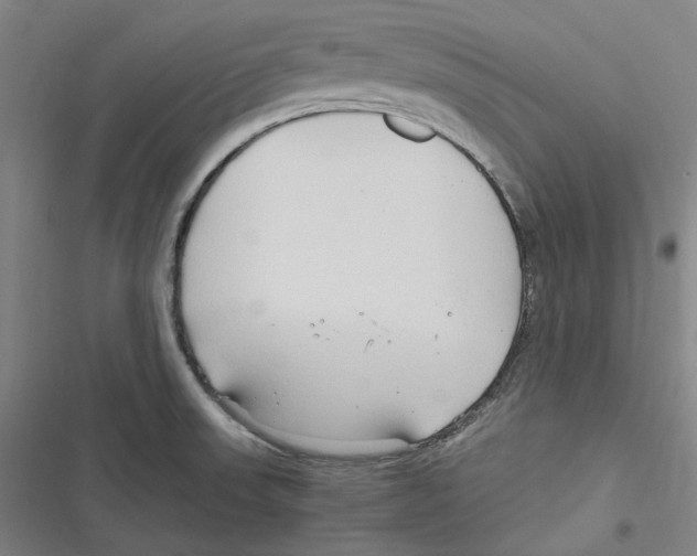 X0000116681523201001111321