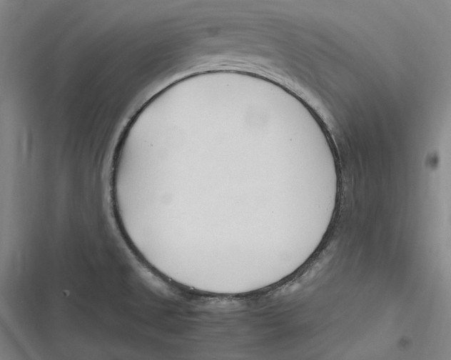 X0000116681525201001111321