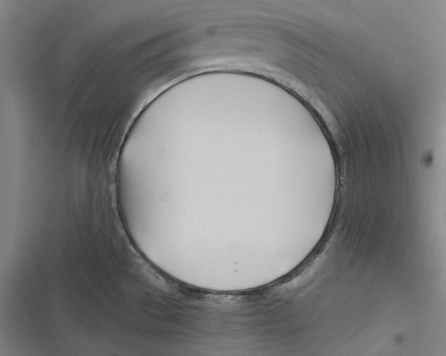 X0000116681529201001111321