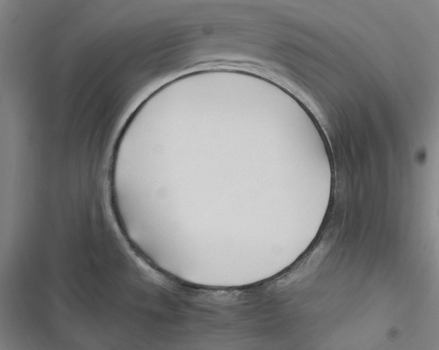 X0000116681533201001111321