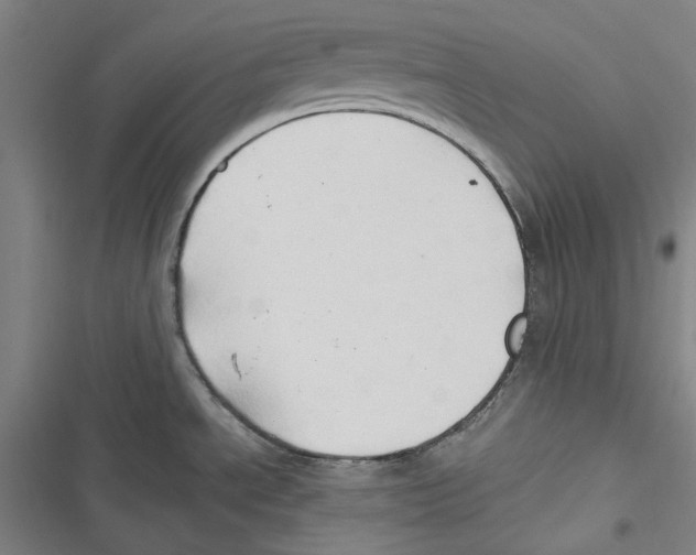 X0000116681534201001111321