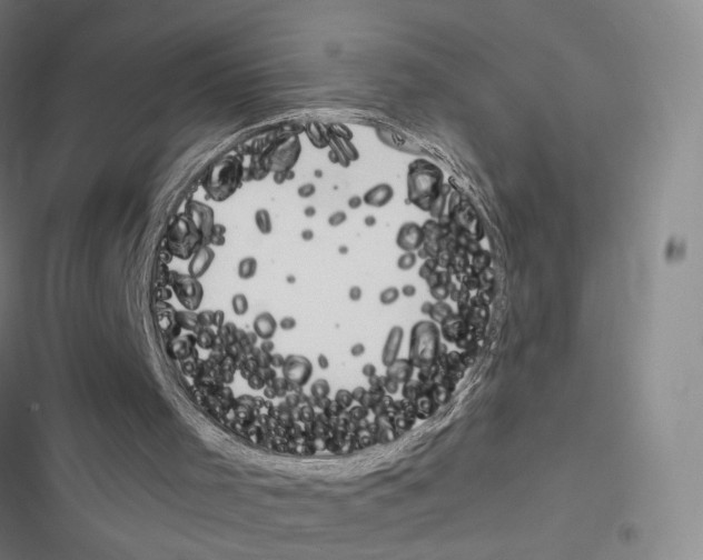 X0000116680001201001251310