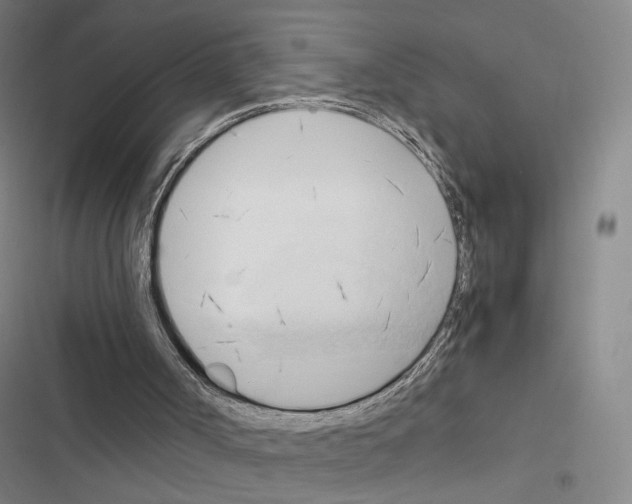 X0000116680002201001251310