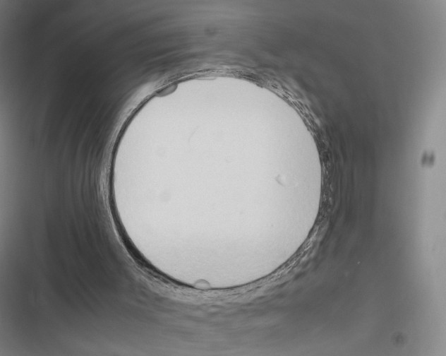 X0000116680003201001251310