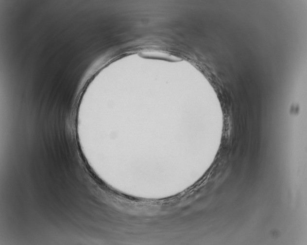 X0000116680004201001251310